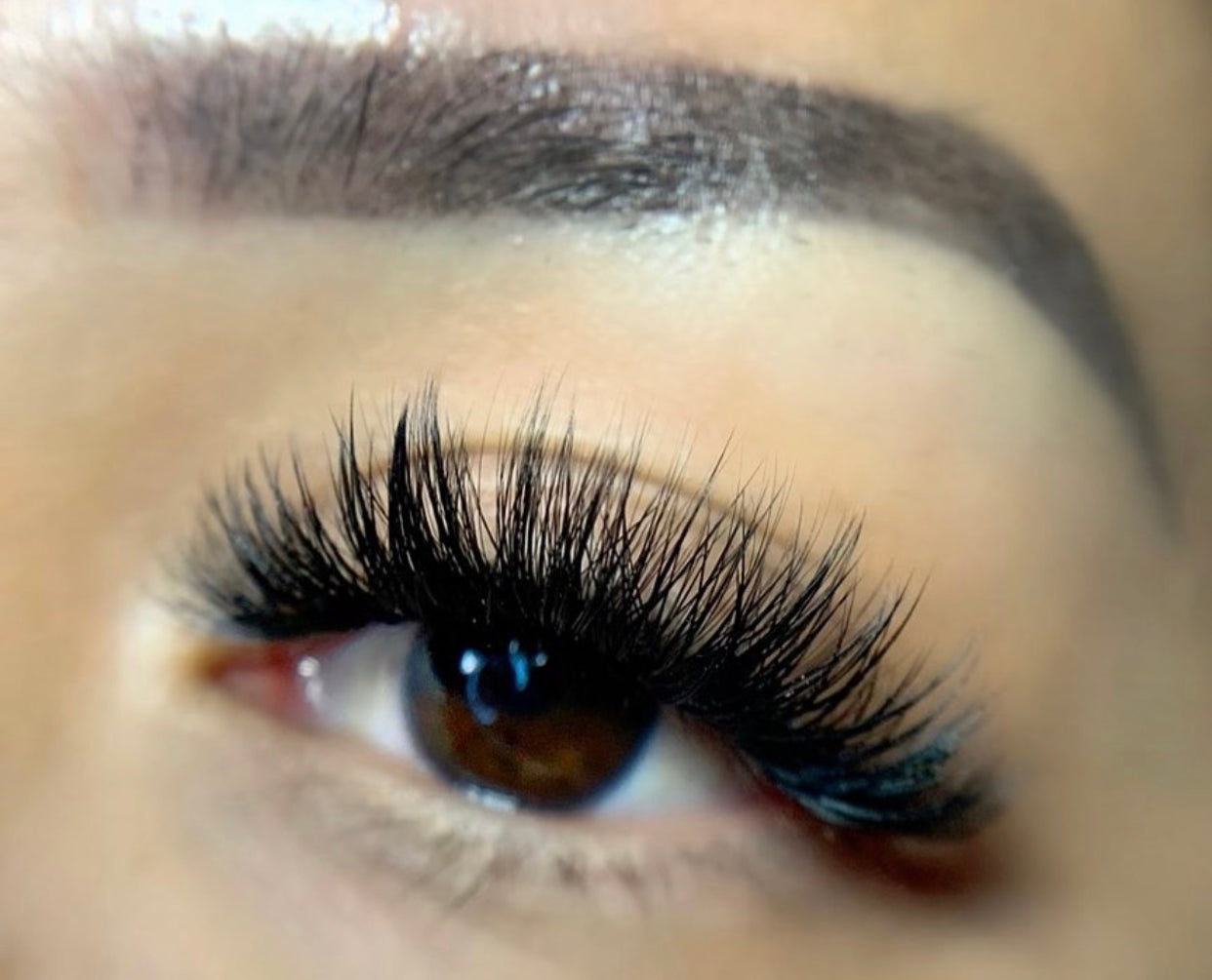 Intro to Lashes December 20 2025